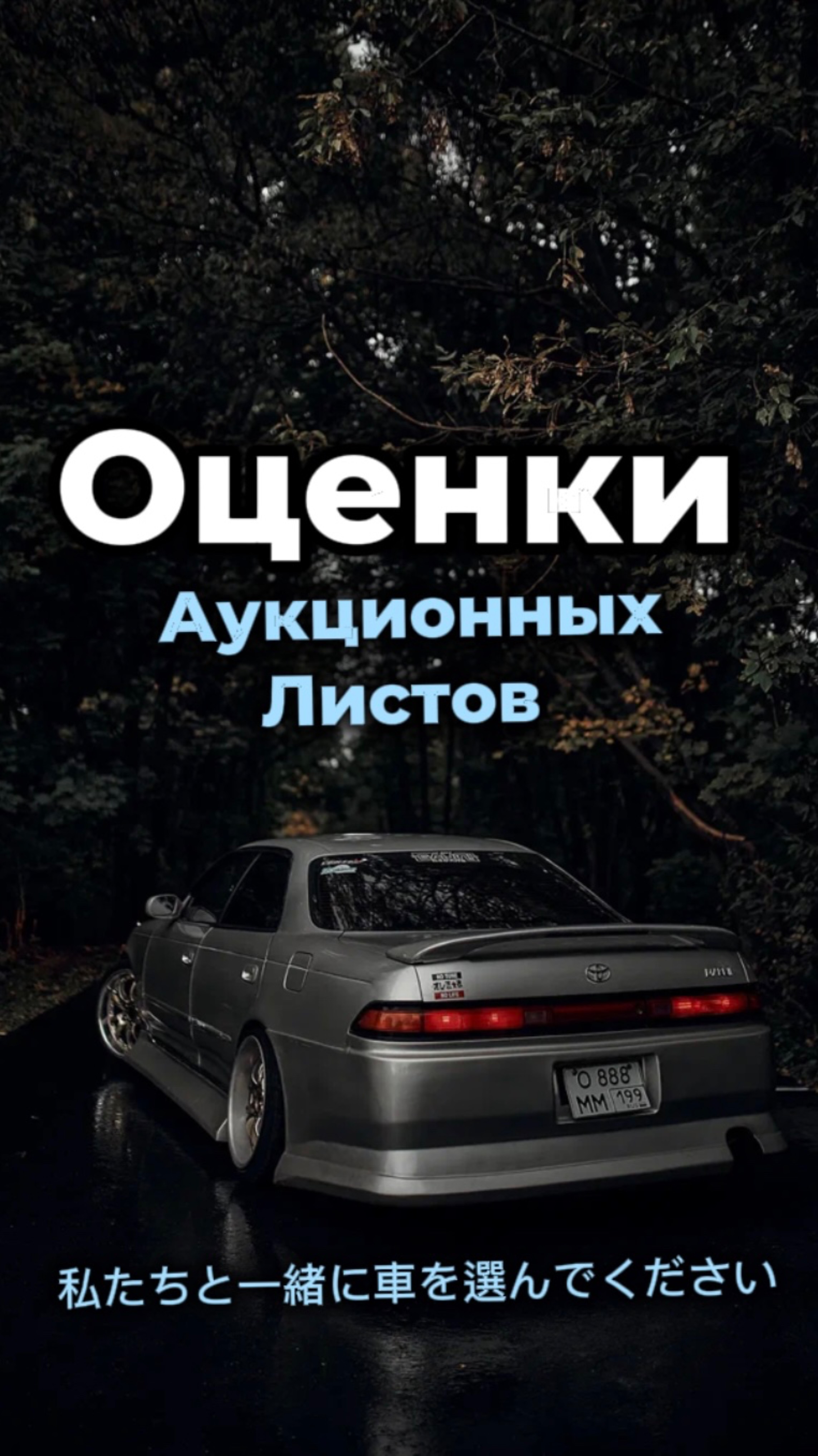 MADO | Что означает аукционная оценка и почему её не стоит бояться?