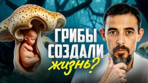 Роль грибов в развитии человечества. Раскрываю тайны грибного царства