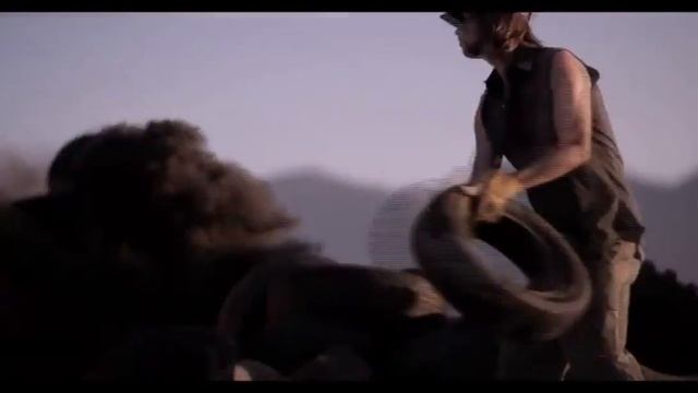 [Аристократический кинематограф] 9 выпуск смотреть онлайн