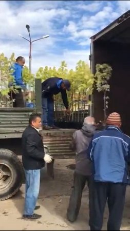 15.09.17 - Участие в акции по озеленению г. Краснознаменск