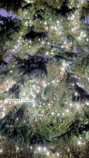 Ёлочка новыйгод ёлка висагинас литва лампочки