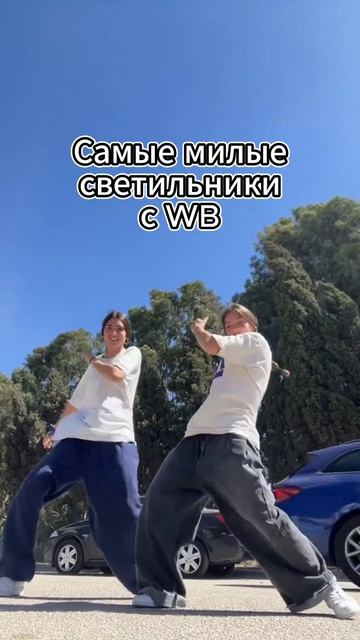 Самые милые светильники с WB 🥰  tgk: shizawb / #shots  #wb #youtube  #wild смотреть онлайн