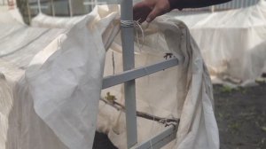 Укрытие винограда от весенних заморозков