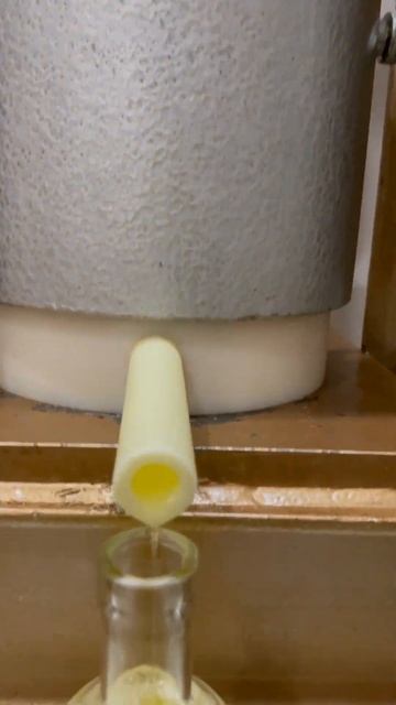 Холодный отжим семян подсолнечника. Настоящее сырода? смотреть онлайн