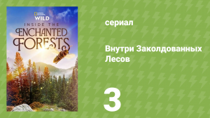 Внутри Заколдованных Лесов 3 серия «Водные миры» (документальный сериал, 2024)