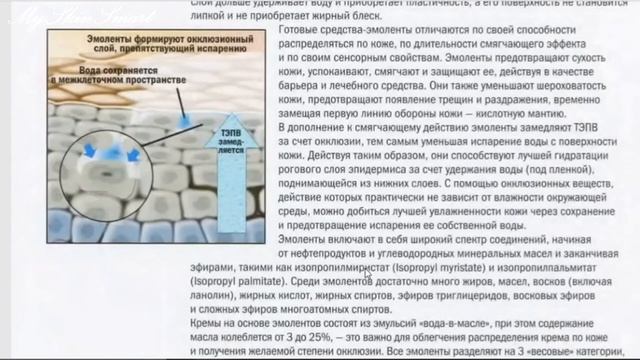 Состав косметических средств смотреть онлайн