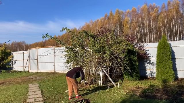 Уютная дача: Завершение дачного сезона.