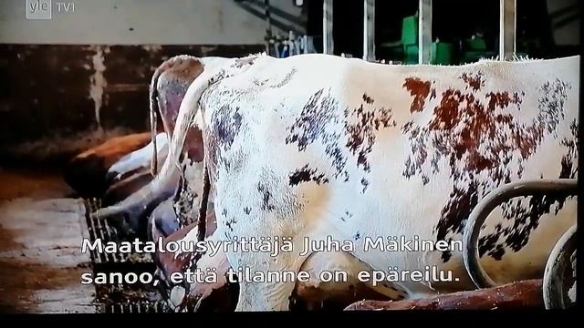 Обрыв кабеля по неосторо-ти.Фермеры не довольны распр? смотреть онлайн