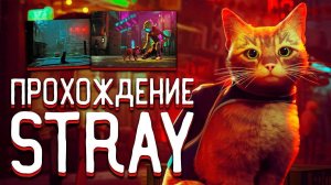 Strey серия 1