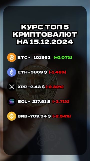 ТОП 5 Криптовалют на 15.12.2024 #беларусь #крипта #инвестици смотреть онлайн