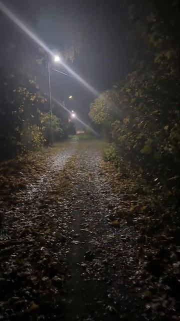 Александр Блок, навеяло смотреть онлайн