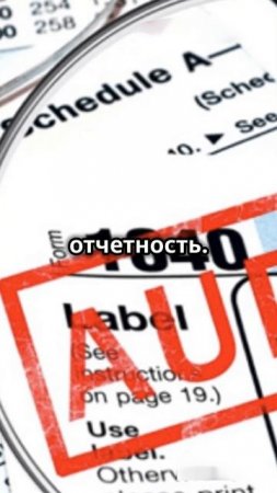 Как вести бухгалтерскую отчетность в ОАЭ