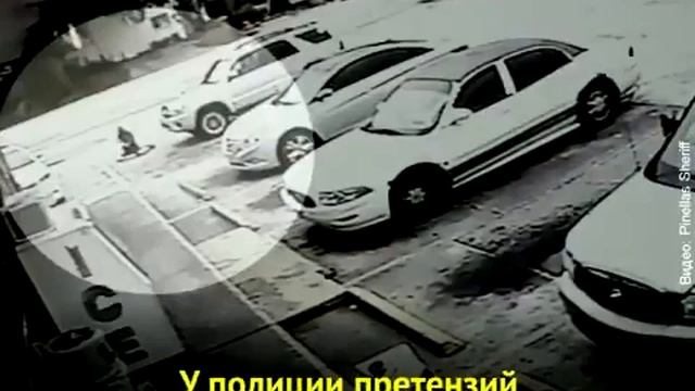 Стоп хам по американски смотреть онлайн