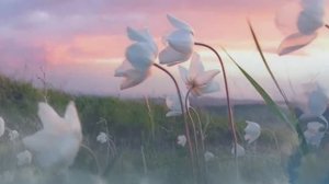 МАЙСКОЕ УТРО стихи Надежды Шубиной, поёт Татьяна Снитко