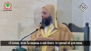 Шейх Саид аль-Камали