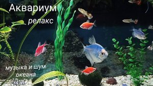 Аквариум релакс. Музыка и шум моря
