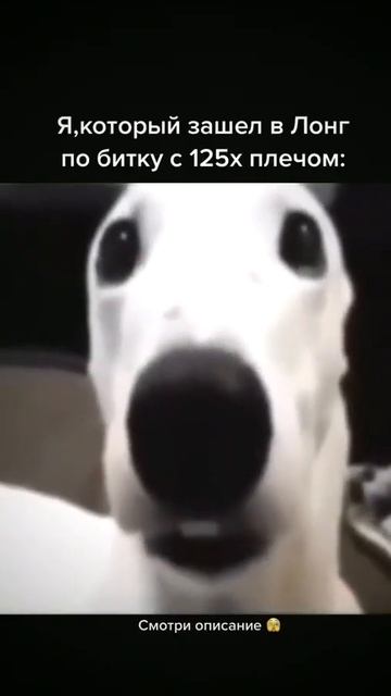 Обучаю крИпте бесплатно 🎯(сигналы,анализы дропы,сета смотреть онлайн