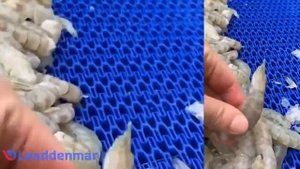 Машина для очистки креветок Leaddenmar Automatic Shrimp Peeling Line L150/L300