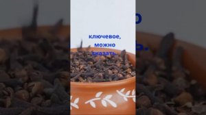 Чудо гвоздика