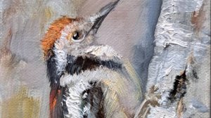 Дятел .Живопись маслом