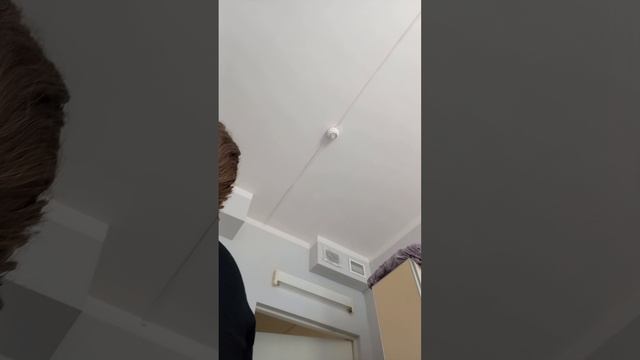 влог✌🏻я в больнице с переломом ноги 🦵