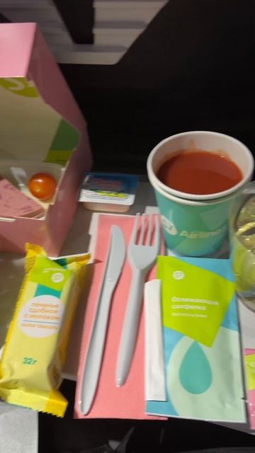 Еда в самолёте 😍 Рейс S7 Airlines из Новосибирска в Москву смотреть онлайн
