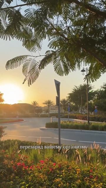 Польза солнца для глаз. Утренний свет помогает сброс?