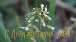 С Днём рождения, Анатолий!