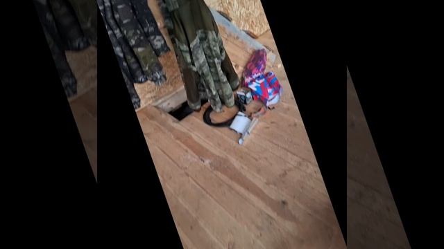 1000023502.mp4 (Собака смотрит на каркас для э/кабелей, установленный в доме А-фрейм)
