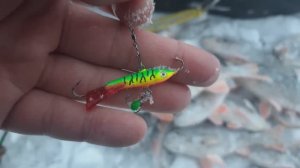 Забросил балансир в стаю окуня. Мощный жор окуня. Лысый Джо опять выручает