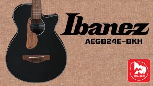 Ibanez AEGB24E - акустический бас с подключением