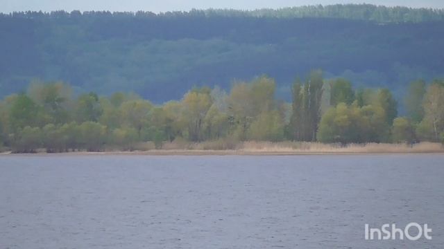 Хрящевка