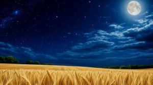 Больше ночи такой не будет.