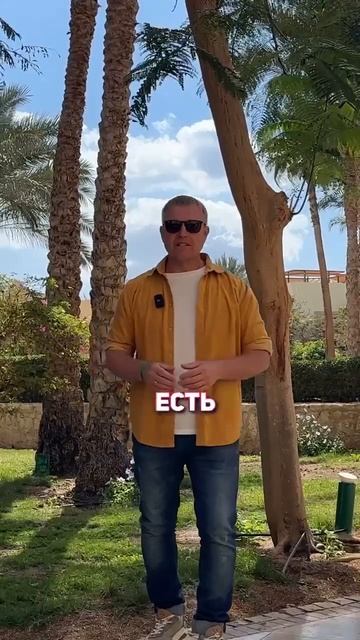 Форум Крипто Юг 2025 #cryptoemergency #криптоюг2025 #геленджикаре? смотреть онлайн