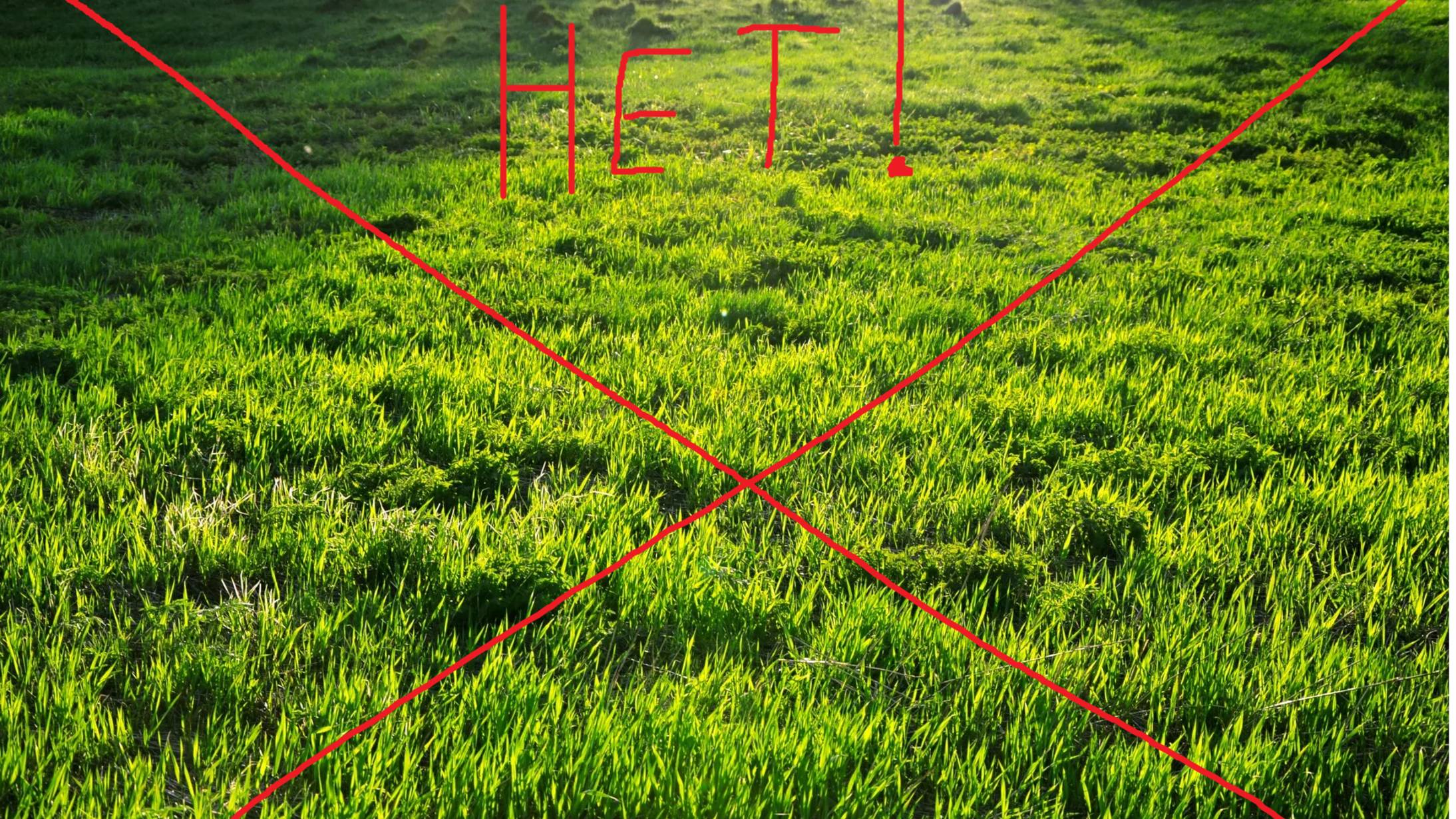 МНЕ НЕЛЬЗЯ НАСТУПАТЬ НА ТРАВУ В Minecraft!!! смотреть онлайн