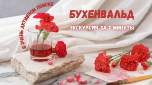 В лапы к монстрам