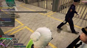 Grand Theft Auto V 2025.05.11 - 00.28.42.15.DVR