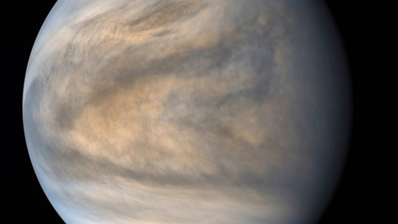 Подтверждено существование жизни на Венере