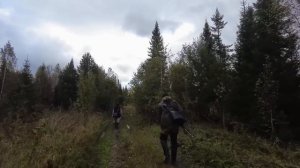 Чистим дымоход в доме. "часть1" Жизнь на Алтае после переезда.