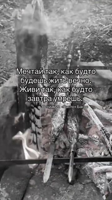 Так и надо