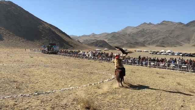 Беркучи 2019 смотреть онлайн