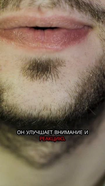 ТОП-3 популярных растительных ноотропа с доказанной эффективностью
