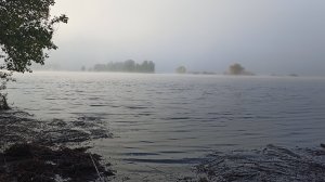 Рыбалка на леща на реке Самарка! Ловим на "тапки" #рыбалка #лещ #природа #река