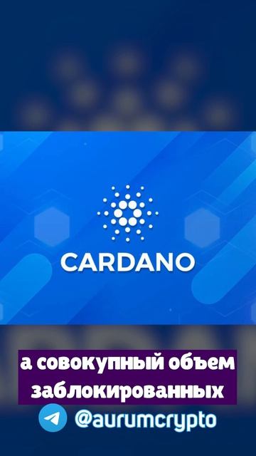 Активность Пользователей и Разработчиков в Сети Cardano ? смотреть онлайн
