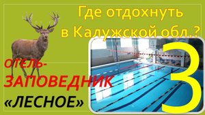 Где отдохнуть в Калужской обл.? Обзор Отель-заповедник "Лесное". Часть 3 - Бассейн и СПА.