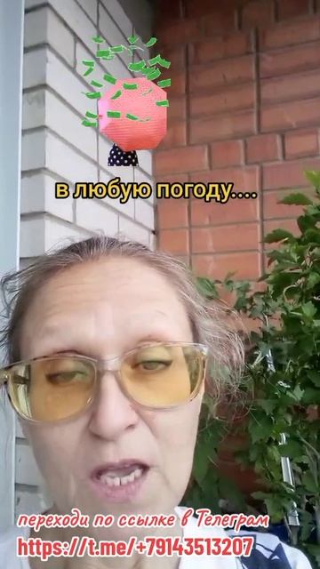 в любую погоду можно иметь дополнительный доход не вы смотреть онлайн
