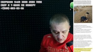Экологическая катастрофа в Анапе / Как Зубков пытается спасти свой образ  - ПРЯМОЙ ЭФИР 02.02.2025