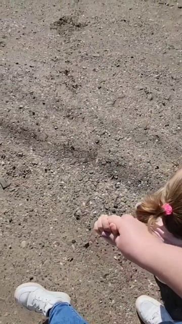 Когда у тебя есть свой хвостик❤️. #любовь #дочь #хв? смотреть онлайн