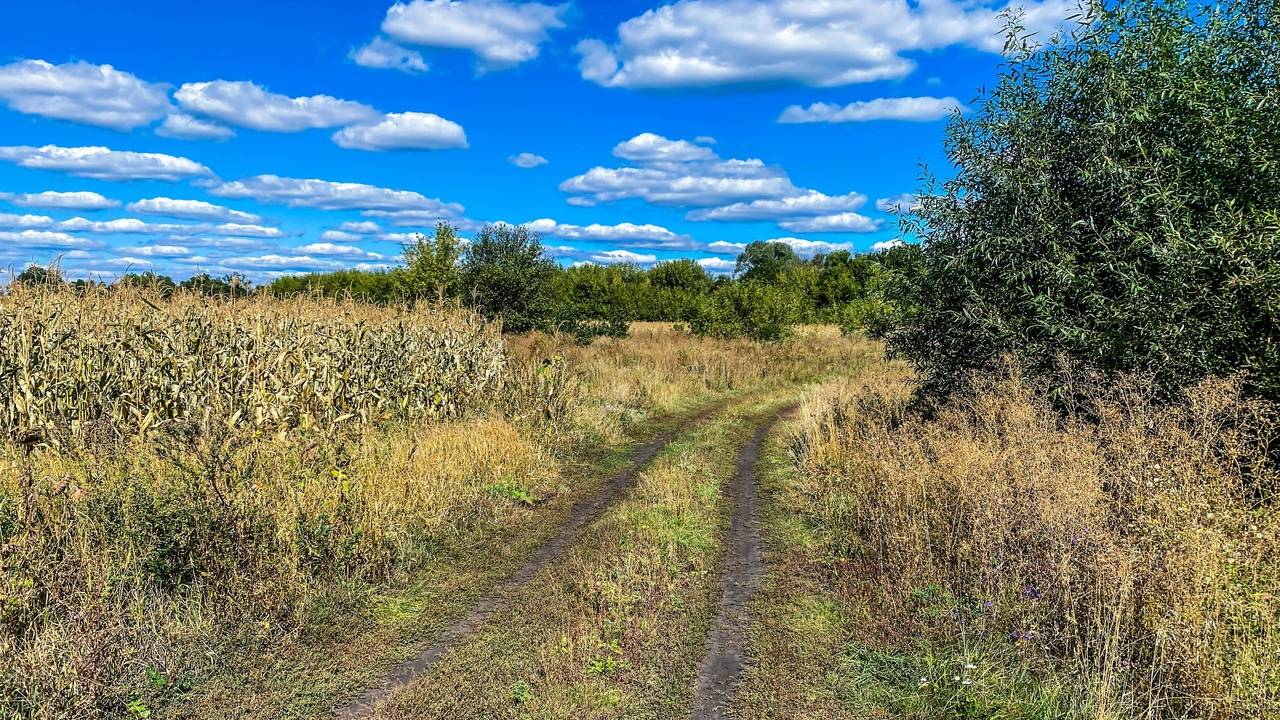 Деревня на границе Тамбовской и Липецкой областей, где осталось всего два двора. смотреть онлайн