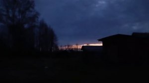 oxota.prof Редкие кадры. Вальшнеп на вечерней тяге.